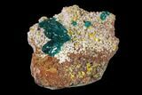 Gemmy Dioptase Clusters with Mimetite - N'tola Mine, Congo #148461-2